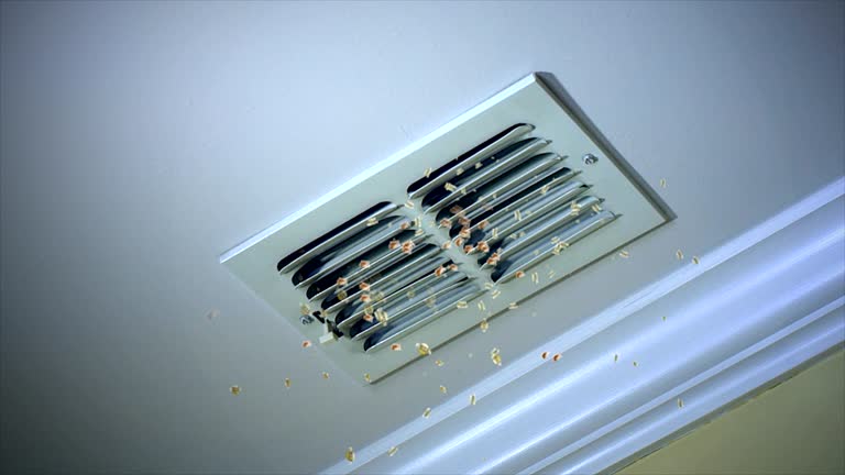 Best Best Air Duct Cleaning Company  in Sans Souci, SC