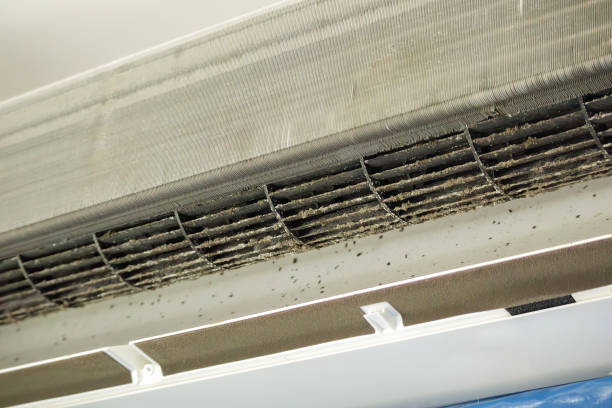 Best Affordable Air Duct Cleaning  in Sans Souci, SC