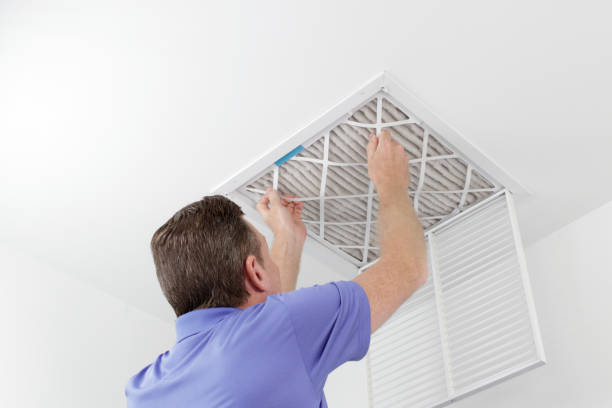 Best Ductwork Cleaning Services  in Sans Souci, SC
